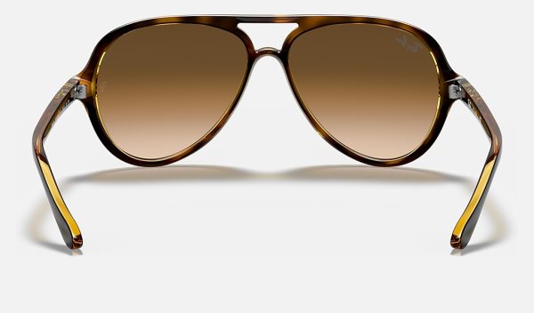 Ray-Ban Sunglasses For Small Faces Female Gradient Lenses Pilot Sunglasses RB4125