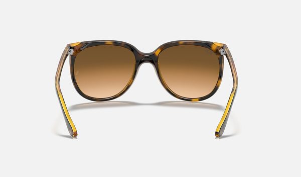 Ray Ban Cat Sunglasses Ray Ban Singapore Blue Gradient Sunglasses RB4126