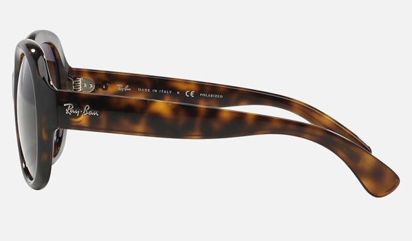 Ray Ban Round Polarized Nylon Lens Sunglasses Brown Gradient Sunglasses Gradient Mirror Sunglasses RB4191