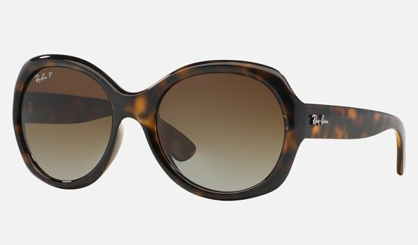 Ray Ban Round Polarized Nylon Lens Sunglasses Brown Gradient Sunglasses Gradient Mirror Sunglasses RB4191