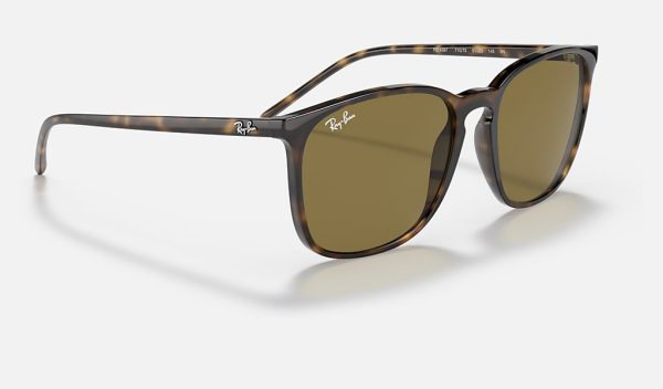Ray Ban Singapore Retro Square Sunglasses Cheap Glass Lens Sunglasses RB4387