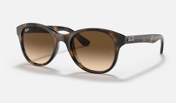 Ray Ban Phantos Sunglasses Nylon Lens Sunglasses Gradient Prescription Sunglasses RB4203