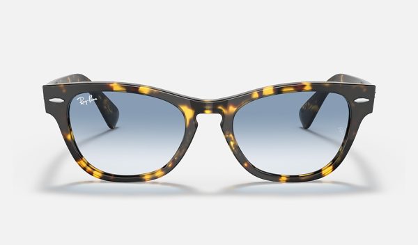 Irregular Choice Sunglasses Ray-Ban Acetate Sunglasses Gradient Blue Sunglasses Ray Ban Gradient Sunglasses 0RB0840S