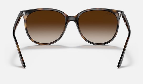 Ray-Ban Injected Sunglasses Womens Square Sunglasses Brown Gradient Sunglasses RB4378