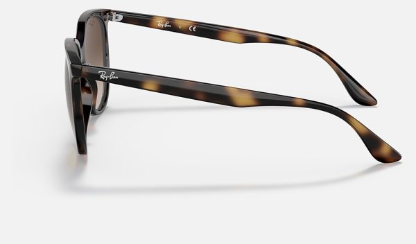 Ray-Ban Injected Sunglasses Womens Square Sunglasses Brown Gradient Sunglasses RB4378