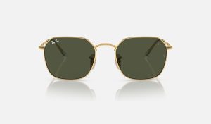 Ray-Ban Best Polarized Sunglasses For Fishing Sunglasses RB3694