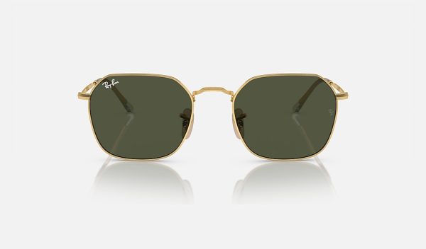 Ray-Ban Best Polarized Sunglasses For Fishing Sunglasses RB3694
