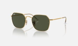 Ray-Ban Best Polarized Sunglasses For Fishing Sunglasses RB3694