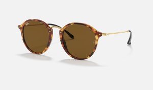 Round Sunglasses Mens Ray Ban Green Classic G 15 Ray-Ban Acetate Sunglasses RB2447 ROUND FLECK