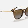 Ray Ban Erika Braun Ray Ban Erika Brown Gradient Ray Ban Erika Transparent Nylon Frame Sunglasses Gradient Prescription Sunglasses RB4171