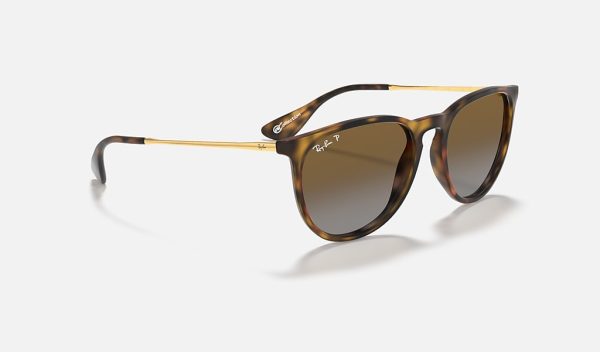 Ray Ban Erika Braun Ray Ban Erika Brown Gradient Ray Ban Erika Transparent Nylon Frame Sunglasses Gradient Prescription Sunglasses RB4171