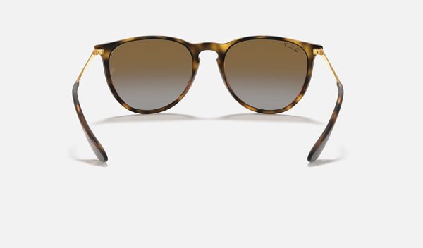 Ray Ban Erika Braun Ray Ban Erika Brown Gradient Ray Ban Erika Transparent Nylon Frame Sunglasses Gradient Prescription Sunglasses RB4171