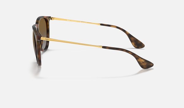Ray Ban Erika Braun Ray Ban Erika Brown Gradient Ray Ban Erika Transparent Nylon Frame Sunglasses Gradient Prescription Sunglasses RB4171